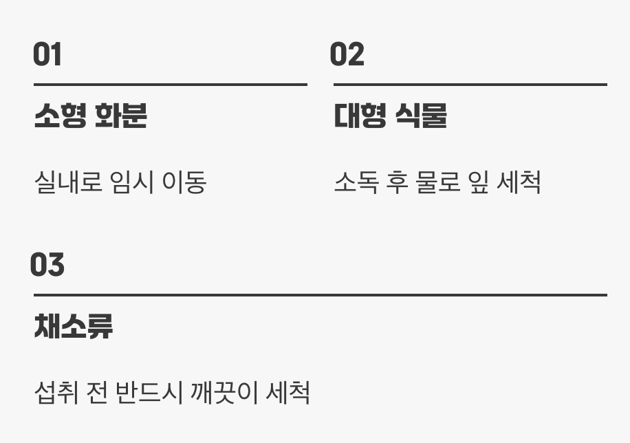 베란다의 작은 생명, '식물'은 괜찮을까?