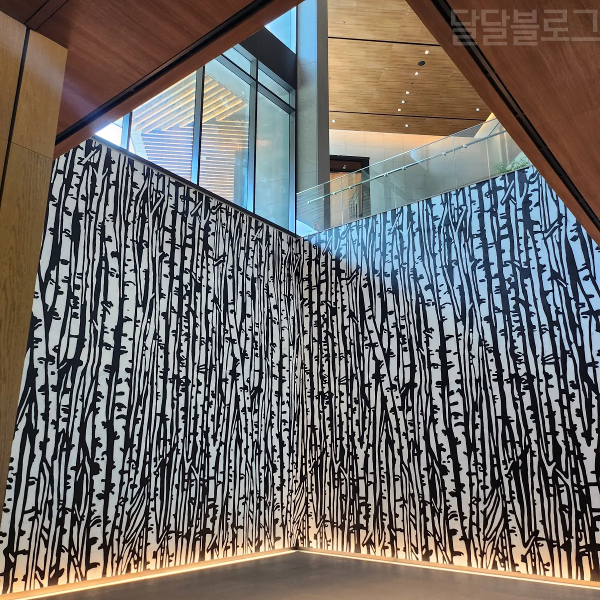 정선-파크로쉬-로비-자작나무