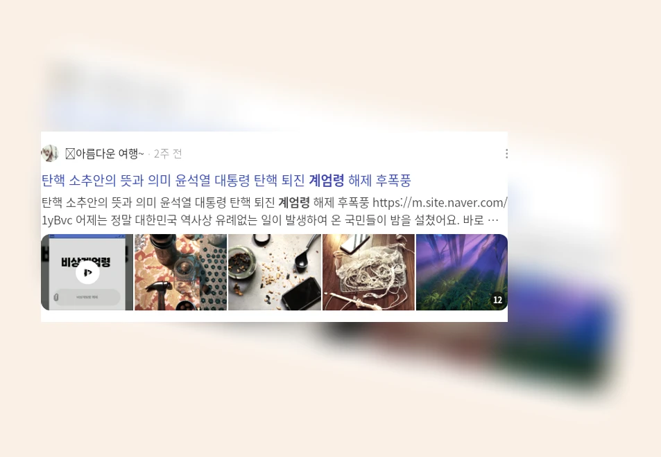 계엄령_2_subsection