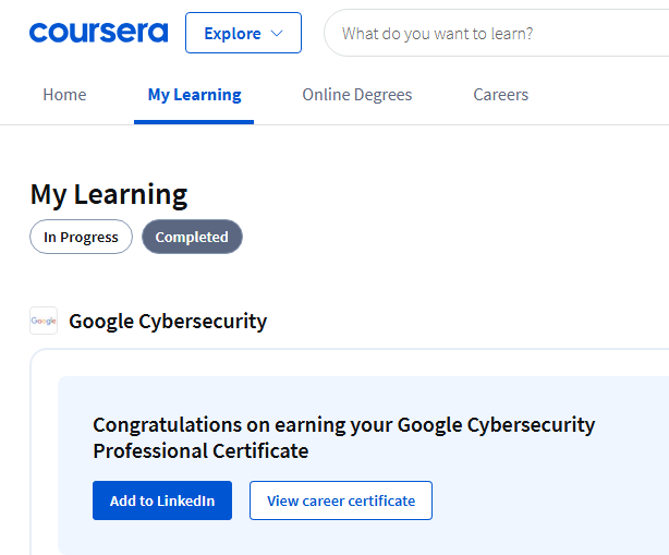 Google Cybersecurity Professional Certificate