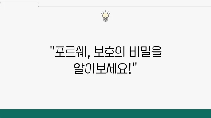포르쉐 소유자를 위한 PPF 시공 필독 가이드