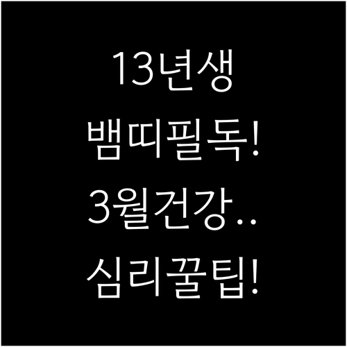 새 학기 맞이 2013년생 뱀띠 학생..