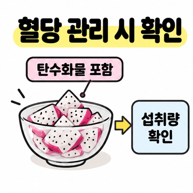 용과 조각이 담긴 그릇에 탄수화물 포함을 표시하고 혈당 관리 시 섭취량을 확인하도록 안내한 그림