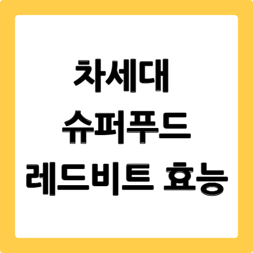 레드비트 효능