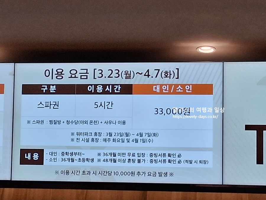 클럽디오아시스 겨울 가격 할인 청수당 준비 후기