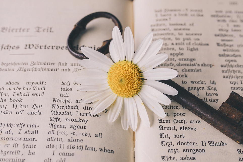 여러 언어가 적혀있는 책