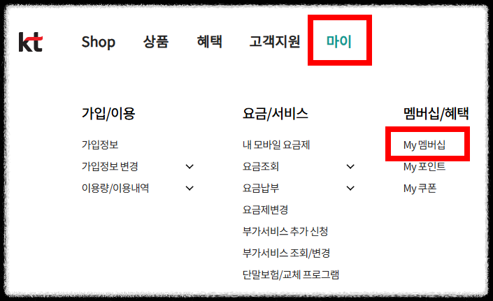 KT-멤버십-포인트-조회-확인