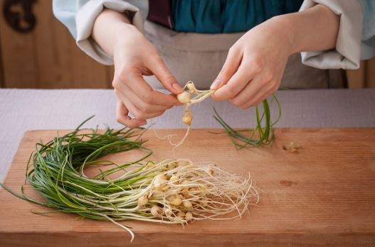 3월 제철 음식&amp;#44; 식재료&amp;#44; 해산물&amp;#44; 과일&amp;#44; 달래&amp;#44; 씀바귀&amp;#44; 쑥&amp;#44; 소라&amp;#44;