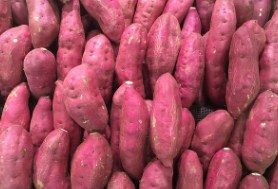 해나미 애플구마