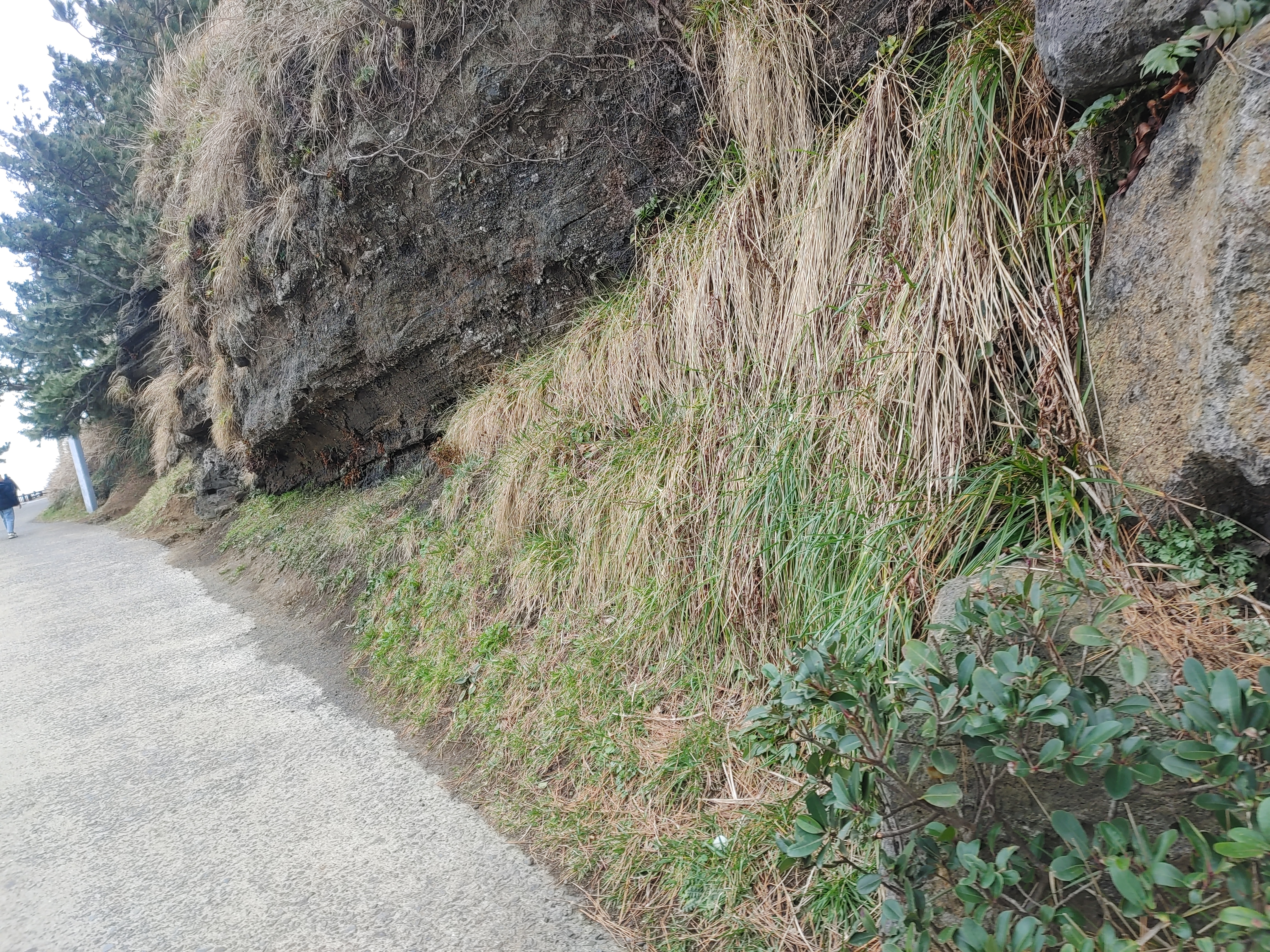 친구와 함께한 제주여행, 송악산 둘레길 한 바퀴 3