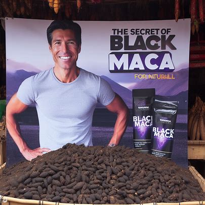 남성을 위한 비결? 블랙마카가 주는 성 기능 향상과 체력 개선