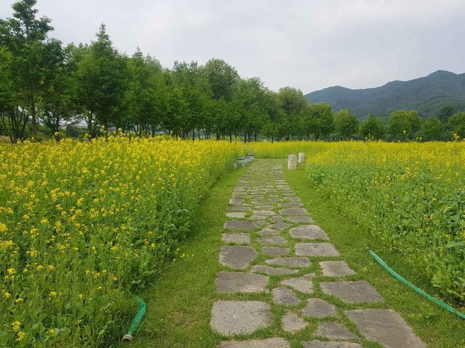 양구 가볼만한곳 베스트 10