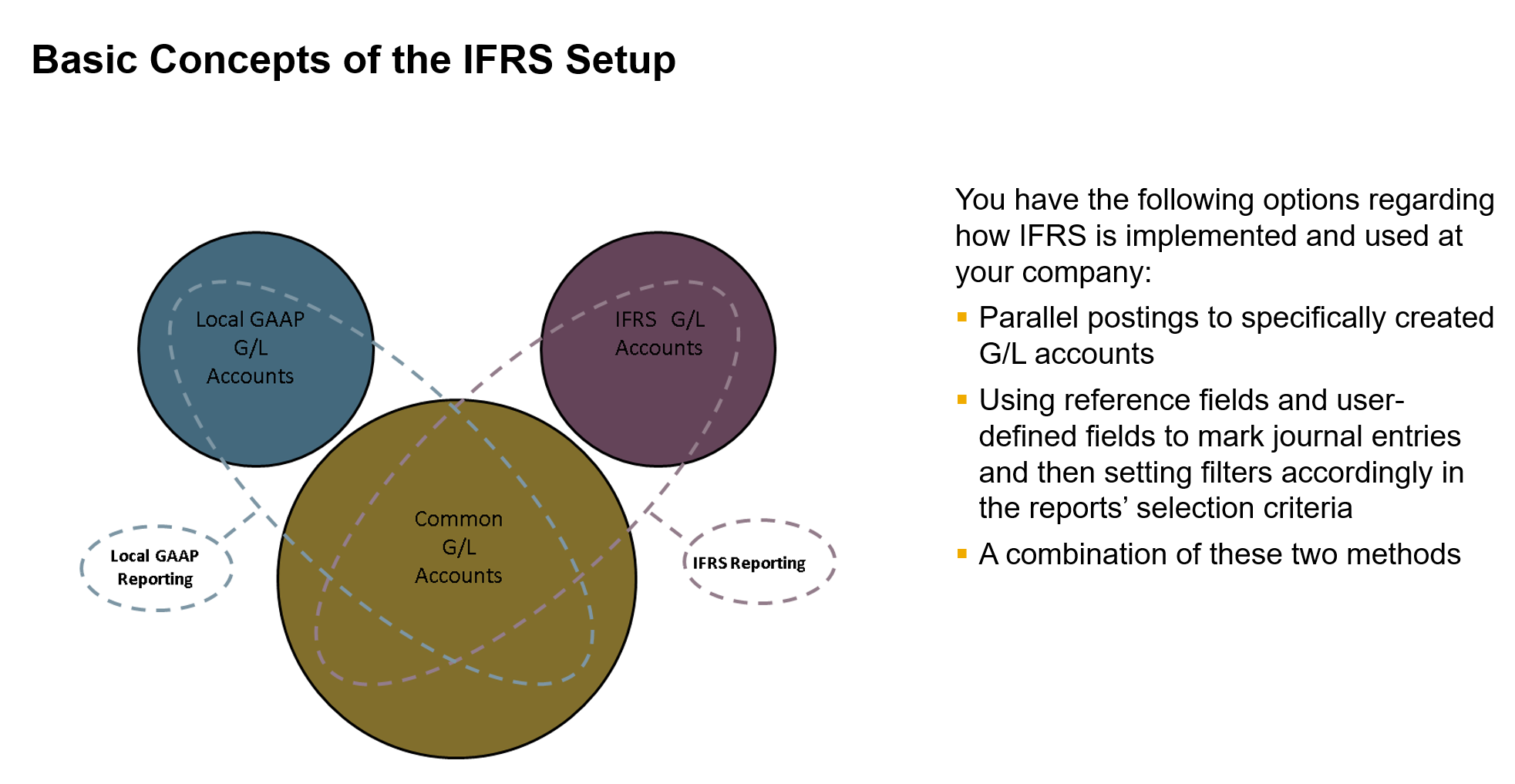 SAP B1 IFRS 지원