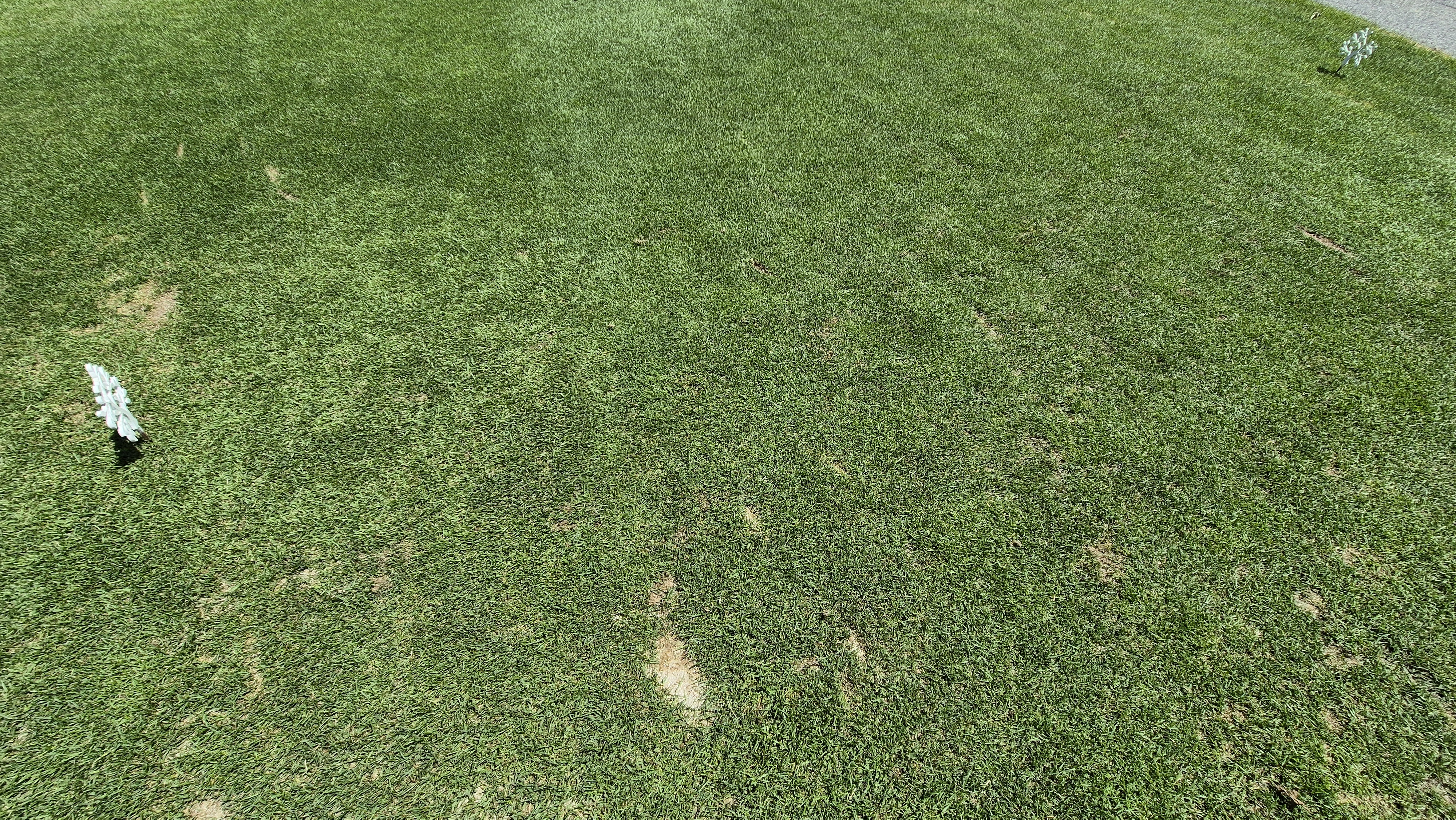 SG 아름다운cc 라운드 후기