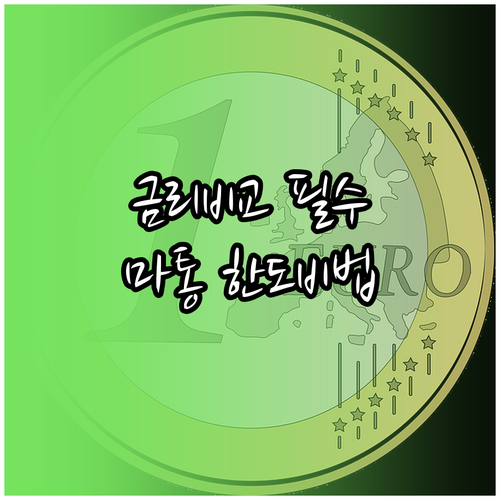 마이너스통장 은행별 금리 비교 및 한..