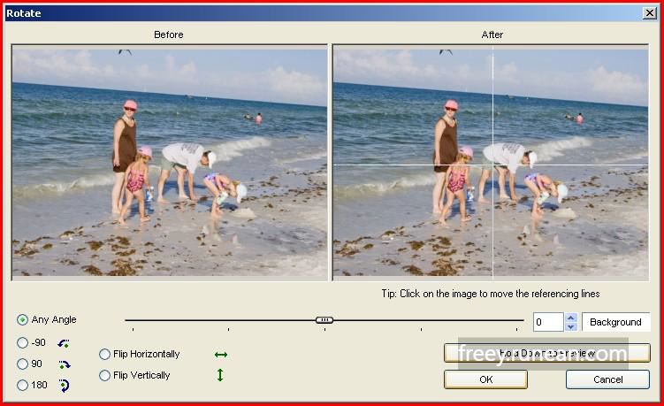 패스트스톤(FastStone)