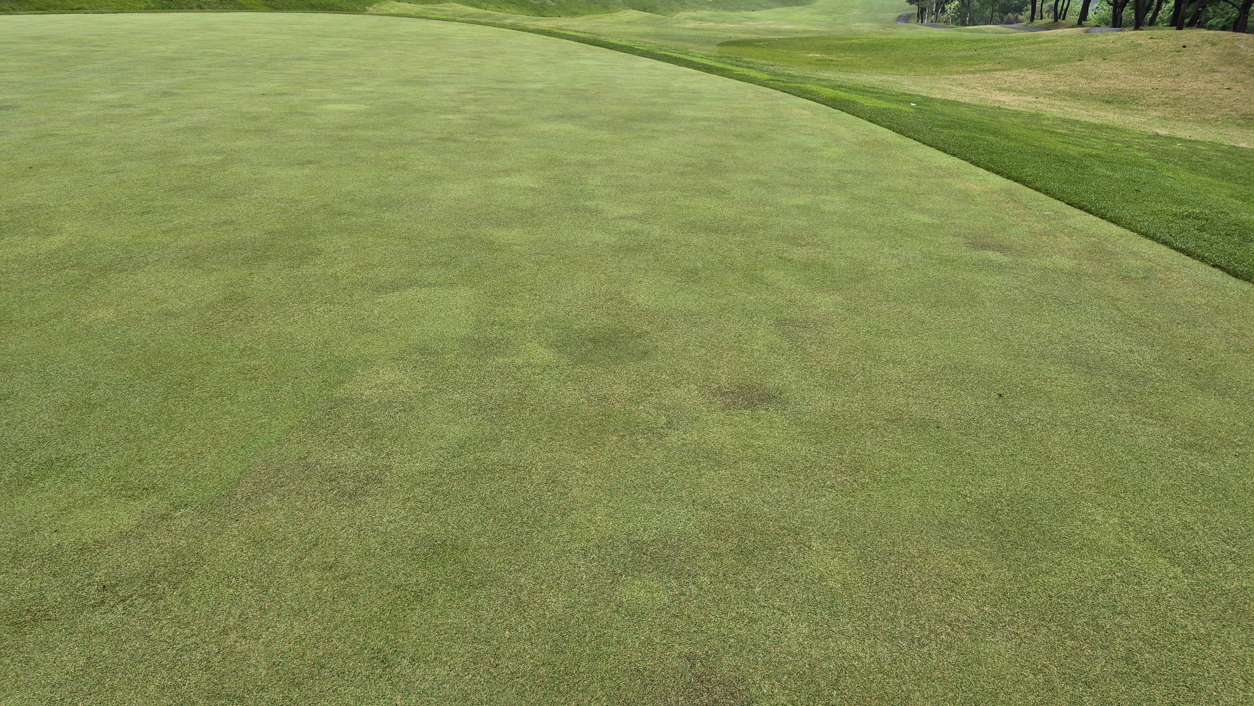 엘리시안 강촌cc 라운드 후기