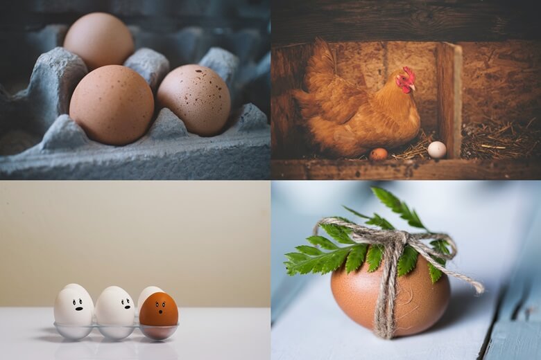 상단좌측부터 계란판(보간/포장용기)위에 3개의 달걀이 담긴 사진과 닭장 안에 닭 한마리가 흰달걀 한개를 앞에 두고 갈색 달걀 한개를 품고있는 모습의 사진과 하단 좌측부터 달걀보관용 안에 사람 눈과 입모양을 그려넣은 흰색달걀 5개와 갈색 달걀 한개가 있는 사진과 갈색 달걀 한개를 풀잎 하나를 위에 올려놓고 가는 실로 묶어놓은 사진