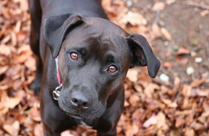 자주 묻는 질문 (FAQ) 관련 사진