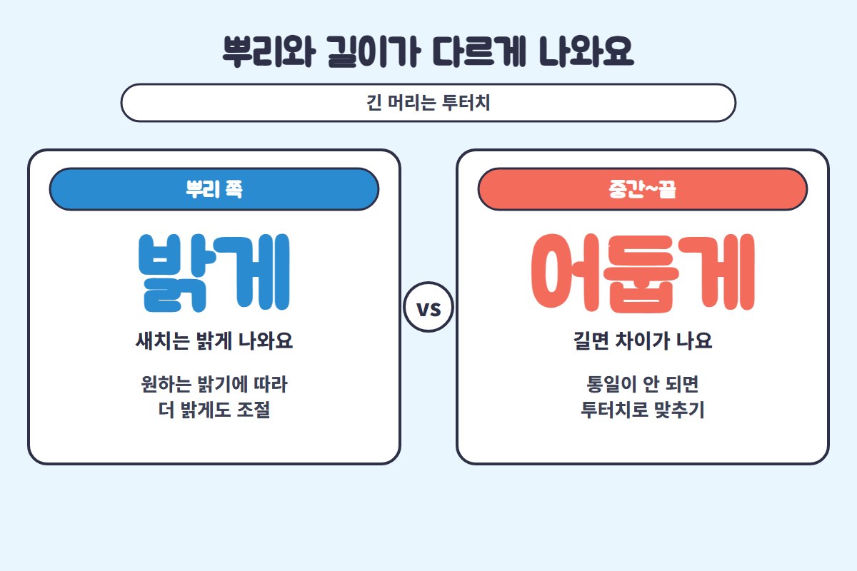 새치 염색 새치 염색 뿌리 밝게 나오는 이유 비교 일러스트