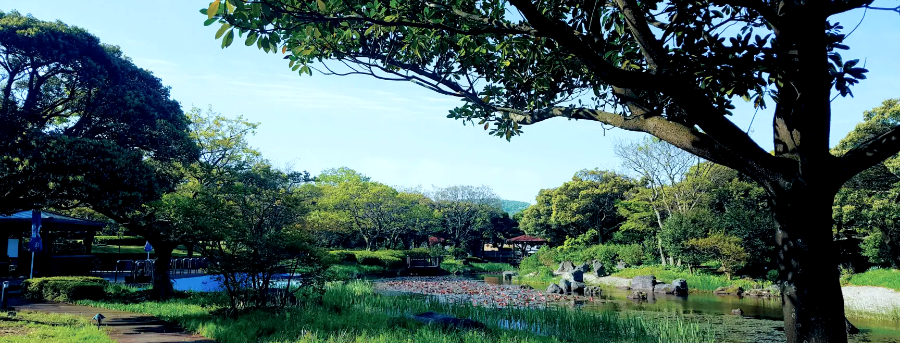 엘리시안 제주 CC 조경