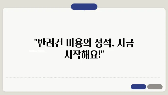 시흥 애견미용사 자격증 한국애견연맹 알아보기