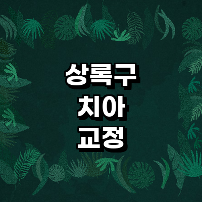 안산 상록구 교정 치과