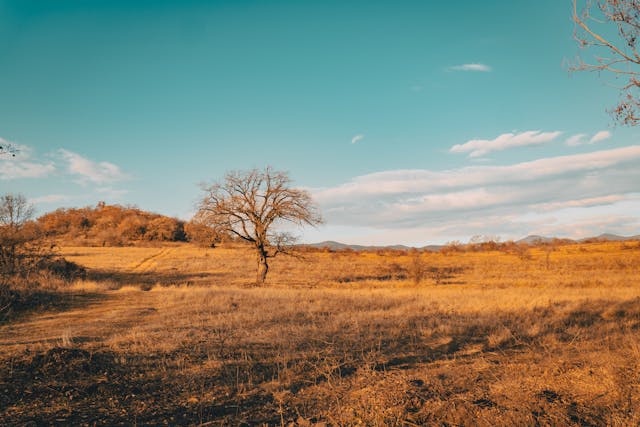 전국 날씨 예보 기온 전망 주말 날씨