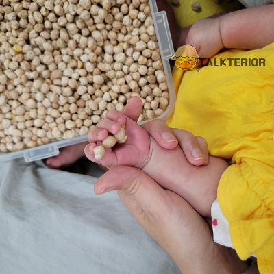 문화센터-에서-콩-촉감놀이-하는-아기