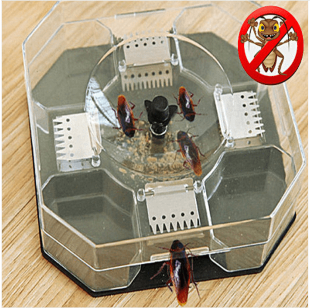 바퀴벌레 완벽 퇴치방법&amp;#44;바퀴벌레 퇴치&amp;#44; 바퀴벌레 방역&amp;#44; 바퀴벌레 유입경로&amp;#44; 음식물쓰레기&amp;#44;바퀴벌레 유입경로창문 틈&amp;#44; 바퀴벌레 유입경로 문틈&amp;#44; 바퀴벌레 유입경로 이웃집&amp;#44;바퀴벌레유입경로 택배상자&amp;#44;음식물쓰레기버리기&amp;#44;물기제거&amp;#44;틈새막기&amp;#44;바퀴벌레 살충제&amp;#44; 바퀴벌레 덫&amp;#44; 바퀴벌레 천연 퇴치제 계피&amp;#44;바퀴벌레 천연 퇴치제 붕산&amp;#44;바퀴벌레 천연 퇴치제 오렌지 레몬껍질&amp;#44;바퀴벌레 천연 퇴치제 로즈마리&amp;#44;바퀴벌레 천연 퇴치제 페퍼민트&amp;#44;바퀴벌레 천연 퇴치제 라벤더&amp;#44;바퀴벌레 방역업체&amp;#44;바퀴벌레 퇴치 배수구트랩&amp;#44;바퀴벌레 퇴치 뜨거운 물 붓기&amp;#44; 바퀴벌레 퇴치 방충망설치&amp;#44; 바퀴벌레 퇴치 문틈막기