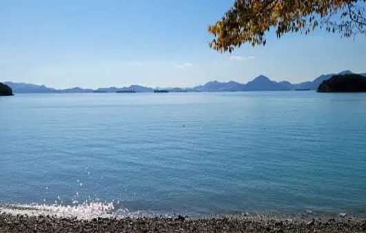 구미동해변