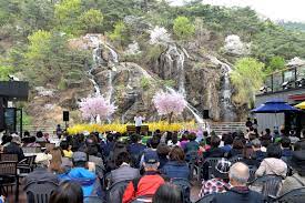 2024 서대문 봄빛 축제 봄빛 콘서트 벚꽃라이브 함신익과 심포니송 기본일정과 프로그램 소개 홍지윤 박현빈 일소로몬 티엘 세자전거 어소티드 턴어라운드 오적목소리 라클라쎄 출연