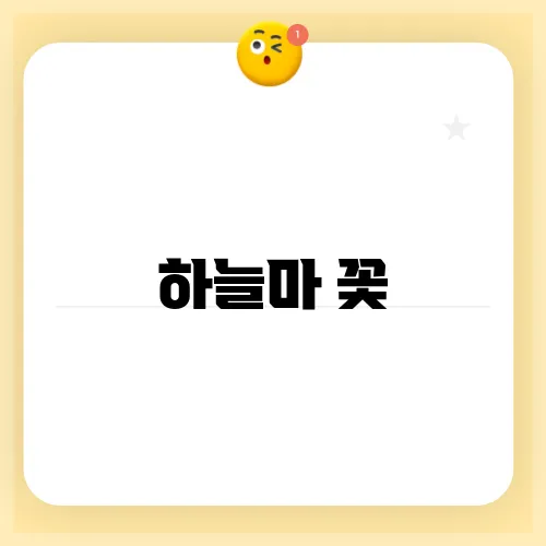 하늘마 꽃