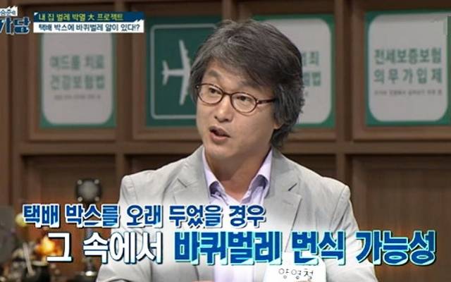 택배상자 바퀴벌레 알,택배박스 바퀴알