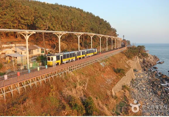 부산 해운대 블루라인파크 추천코스 5