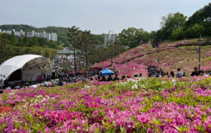 군포철쭉축제