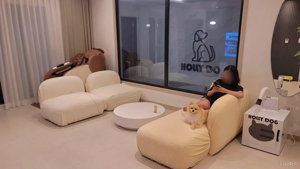 홀리독-깨끗한실내-강아지펫드라이룸