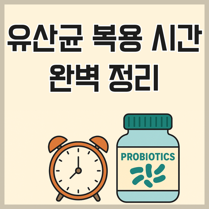 유산균 복용 시간 완벽 정리