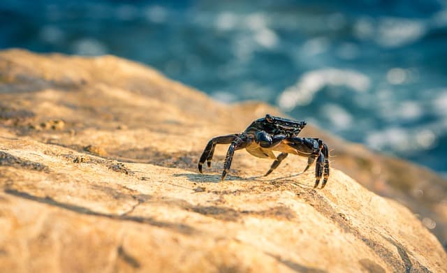 수산 인의 날 기념!
해산물의 중요성과 건강한 소비 방법