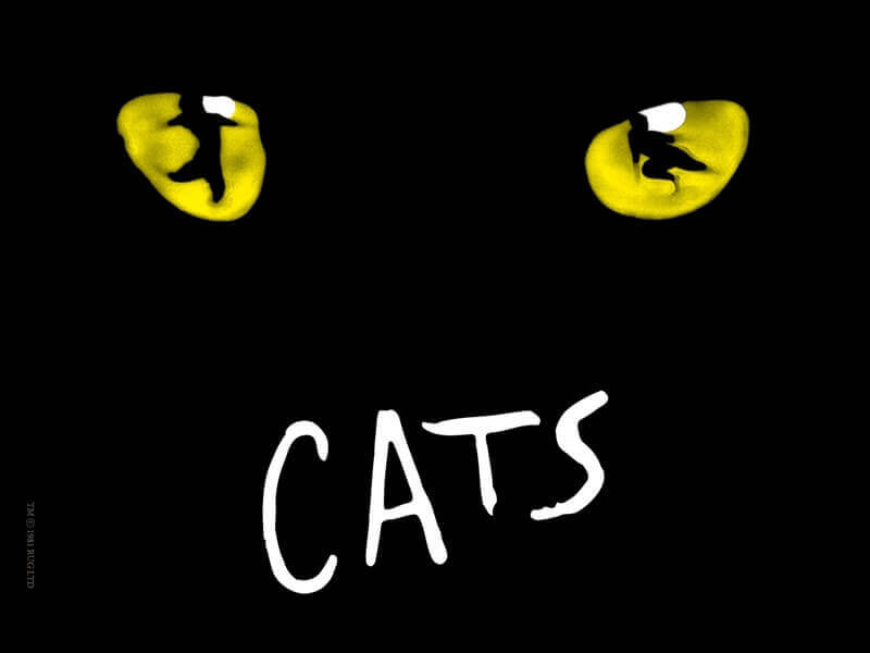 출처 다음 캣츠