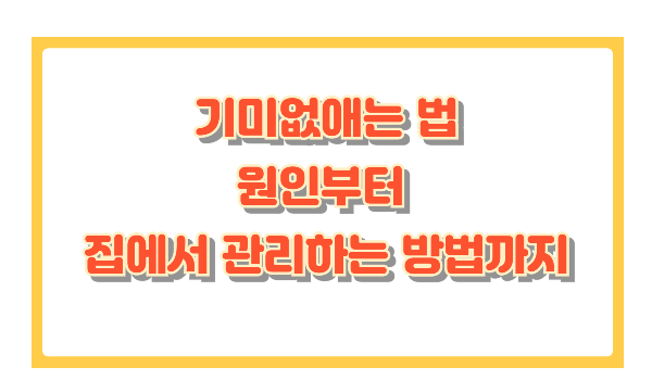기미 없애는 법 총정리! 원인부터 집에서 관리하는 방법까지