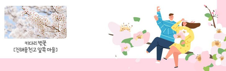 2025진해군항제 벗꽃축제 일정정보 예약하기