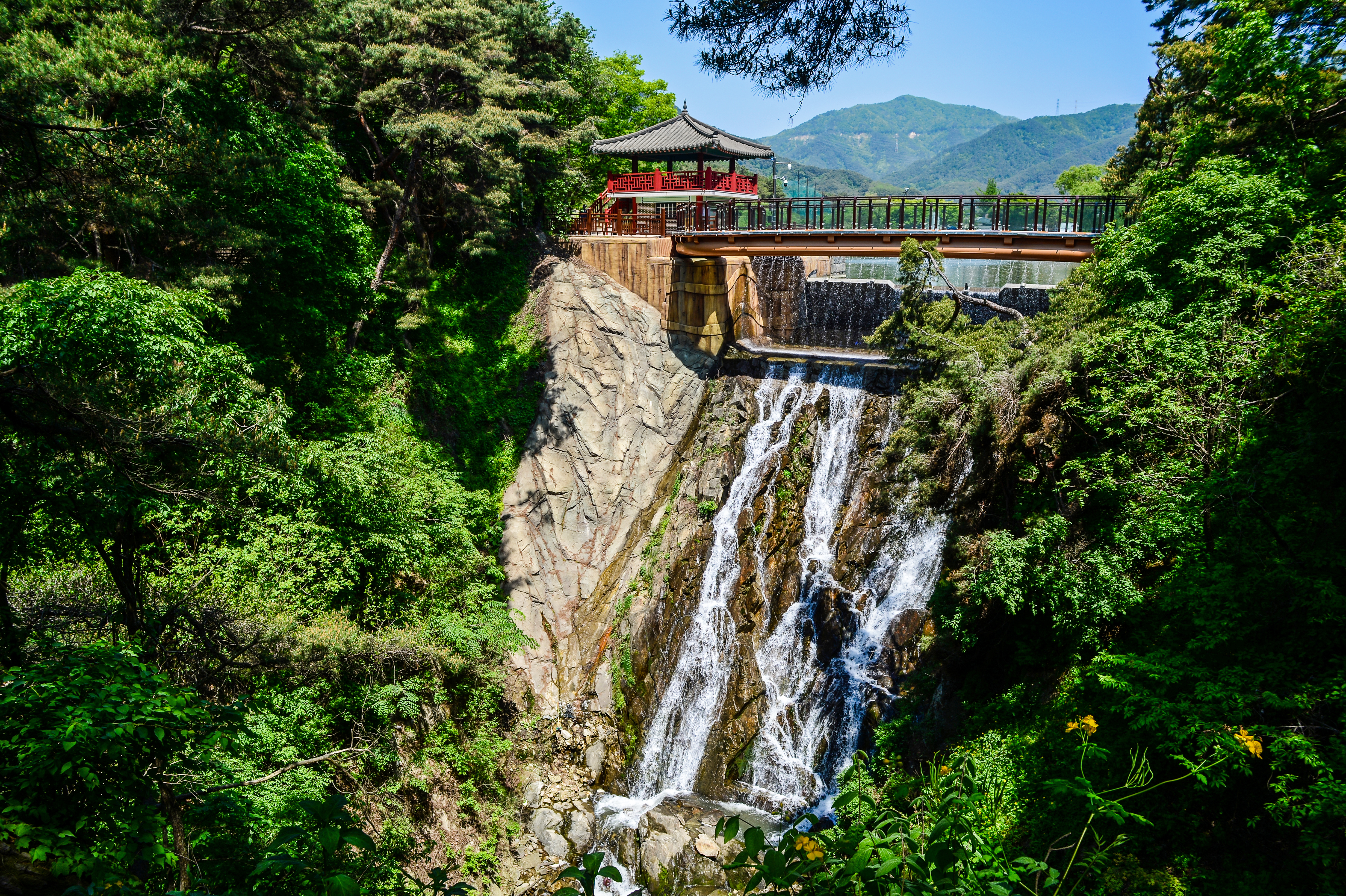 제천 의림지와 제림