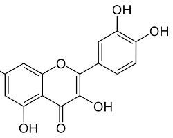 퀘르세틴(Quercetin)