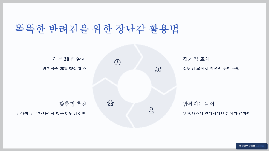 강아지 코딩 놀이 장난감