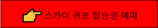 스카이큐브 탑승권 예매