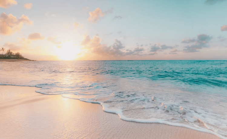 여권없을때 대처법