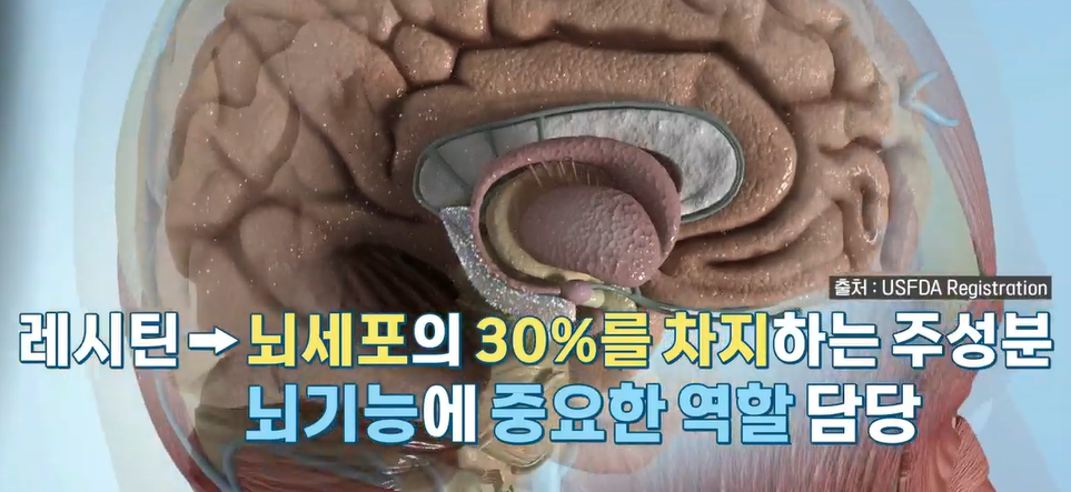 포스파티딜세린