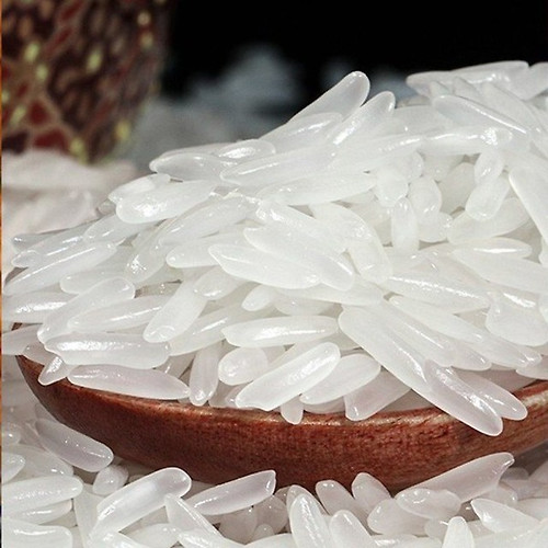 베트남 ST25 쌀 품종