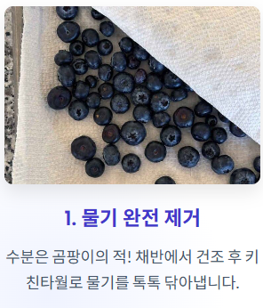 블루베리 세척법